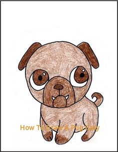 236x305 How To Draw A Pug Easy Animals How To Draw A Fox For Kids - Easy Pug Drawing