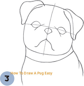 Easy Pug Drawing at PaintingValley.com | Explore collection of Easy Pug ...