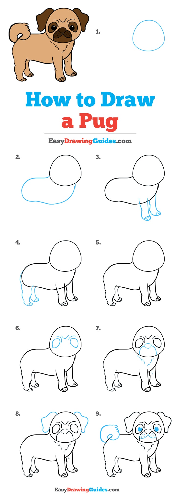 736x2039 How To Draw A Pug - Easy Pug Drawing
