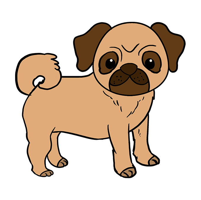 680x678 How To Draw A Pug - Easy Pug Drawing