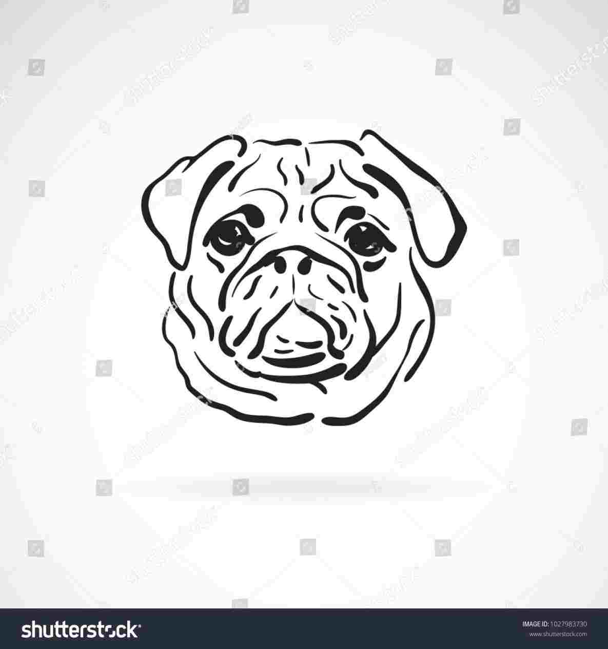 1185x1264 Pug Drawing Easy - Easy Pug Drawing