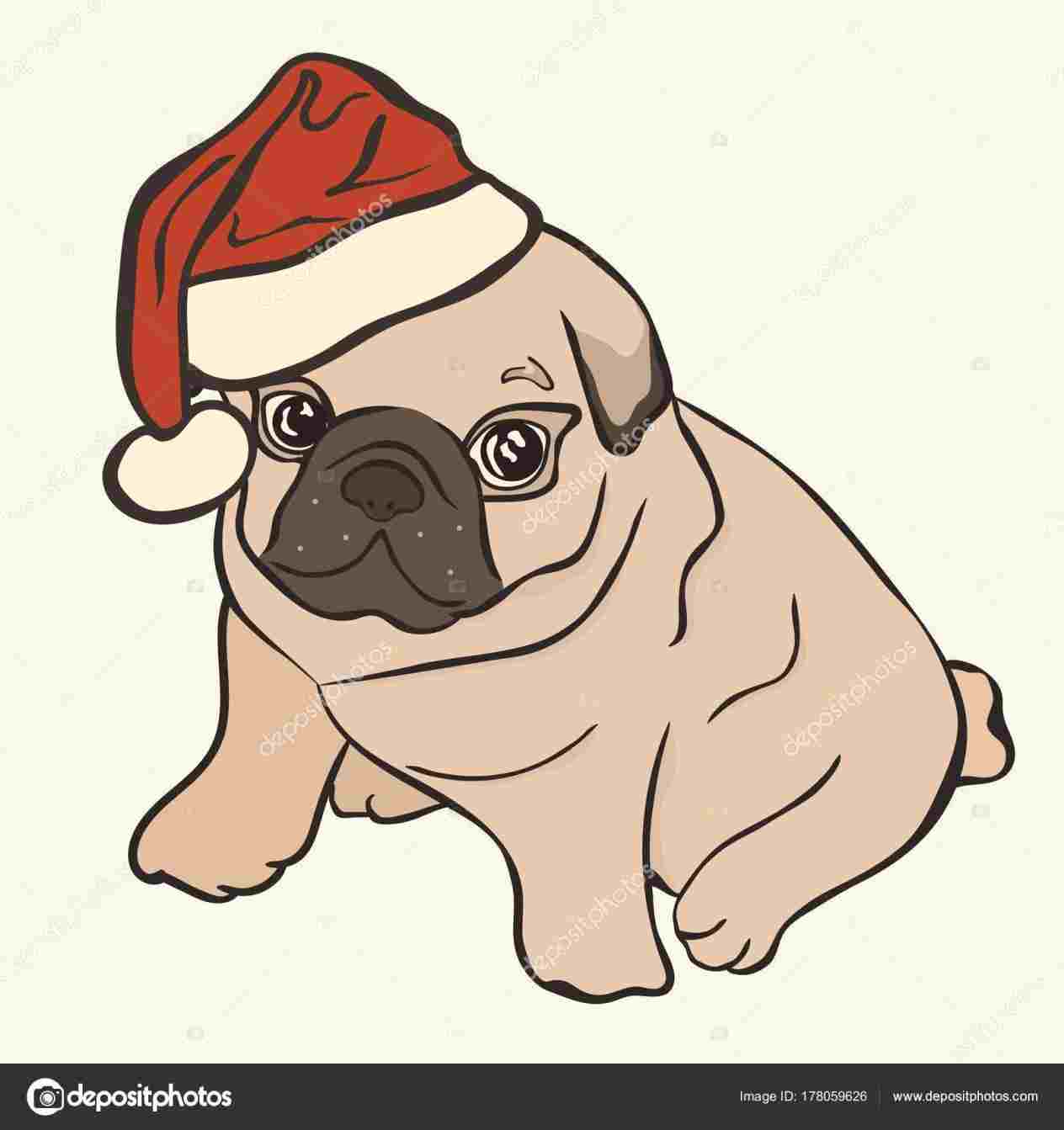 1264x1343 Easy Dog Healthsportinforhhealthsportinfo Easy Pug Drawing Simple - Easy Pug Drawing