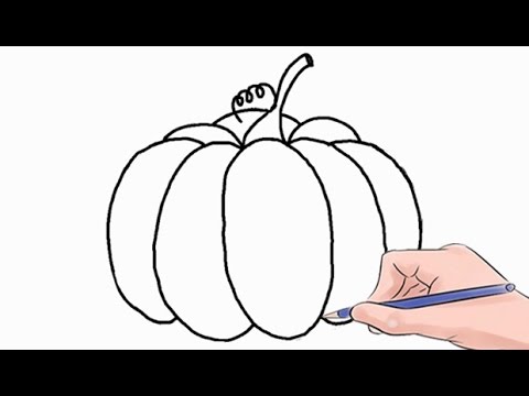 480x360 How To Draw A Pumpkin Easy Step - Easy Pumpkin Drawing