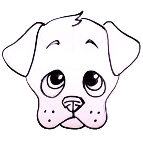 480x480 How To Draw A Puppy Face - Easy Puppy Drawing