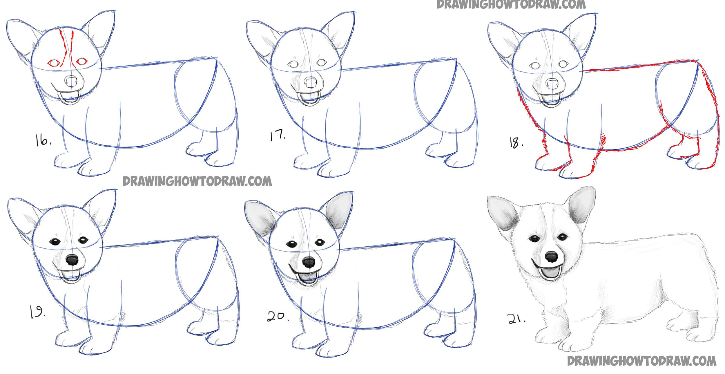 2500x1289 easy puppy pictures to draw how to draw a corgi puppy easy step - Easy Puppy Drawing