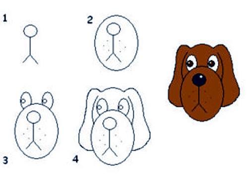 500x360 How To Draw Dogs - Easy Puppy Face Drawing