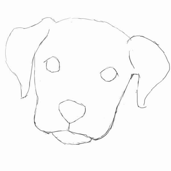 600x600 Picture - Easy Puppy Face Drawing