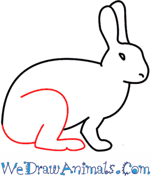 300x350 How To Draw A Rabbit - Easy Rabbit Drawing