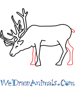 300x350 How To Draw A Reindeer - Easy Reindeer Drawing