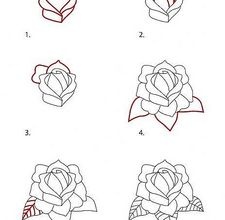 225x220 How To Draw A Rose - Easy Rose Drawing Step By Step