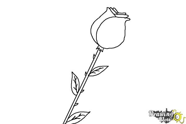 600x400 How To Draw A Rose For Kids - Easy Rose Drawing Step By Step