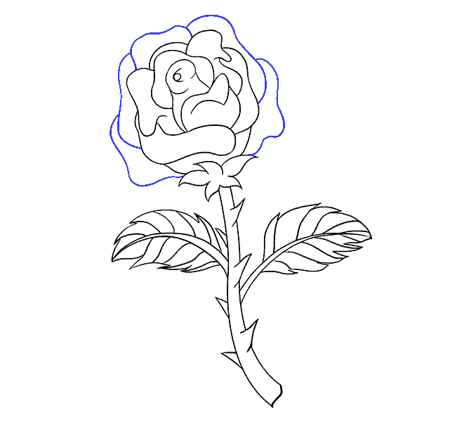 678x600 How To Draw A Rose In A Few Easy Steps Easy Drawing Guides - Easy Rose Drawing Step By Step