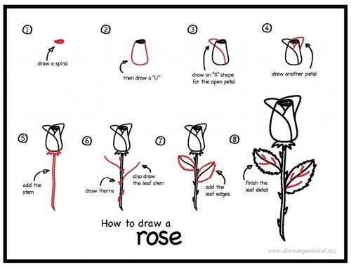 500x380 Easy Ways To Draw A Rose - Easy Rose Drawing Step By Step