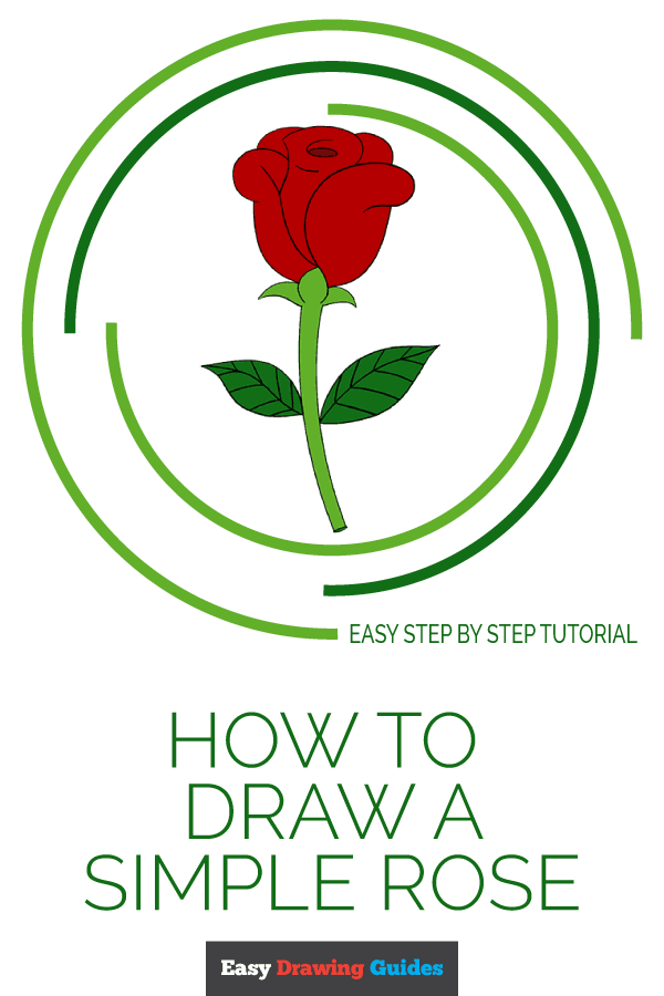 600x900 How To Draw A Simple Rose Easy Drawing Guides - Easy Rose Drawing Step By Step