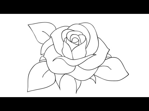 480x360 How To Draw A Rose - Easy Rose Drawing Step By Step