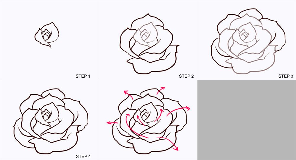 1000x542 Image Result For Easy Roses Drawings Step - Easy Rose Drawing Step By Step