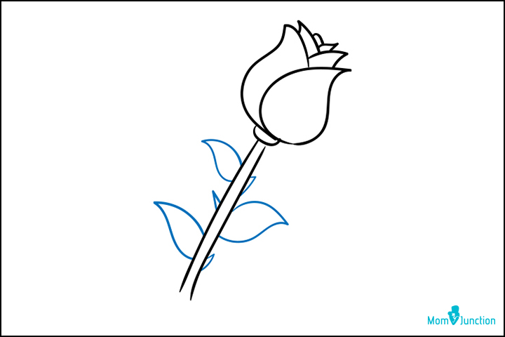 720x480 Rose Flowers Drawing Step - Easy Rose Drawing Step By Step