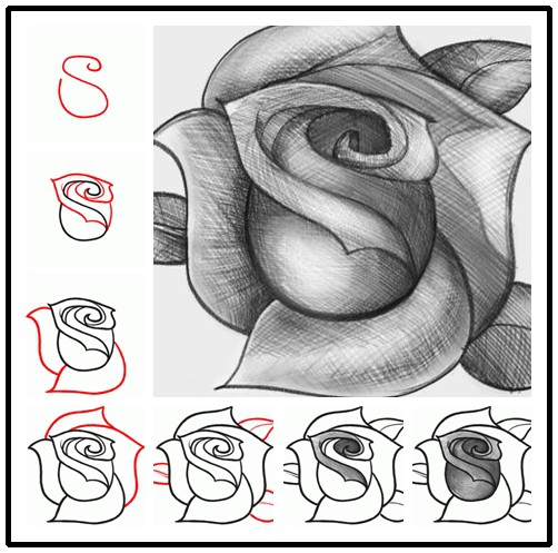 502x497 skulls and roses smore newsletters for education - Easy Rose Drawing Step By Step