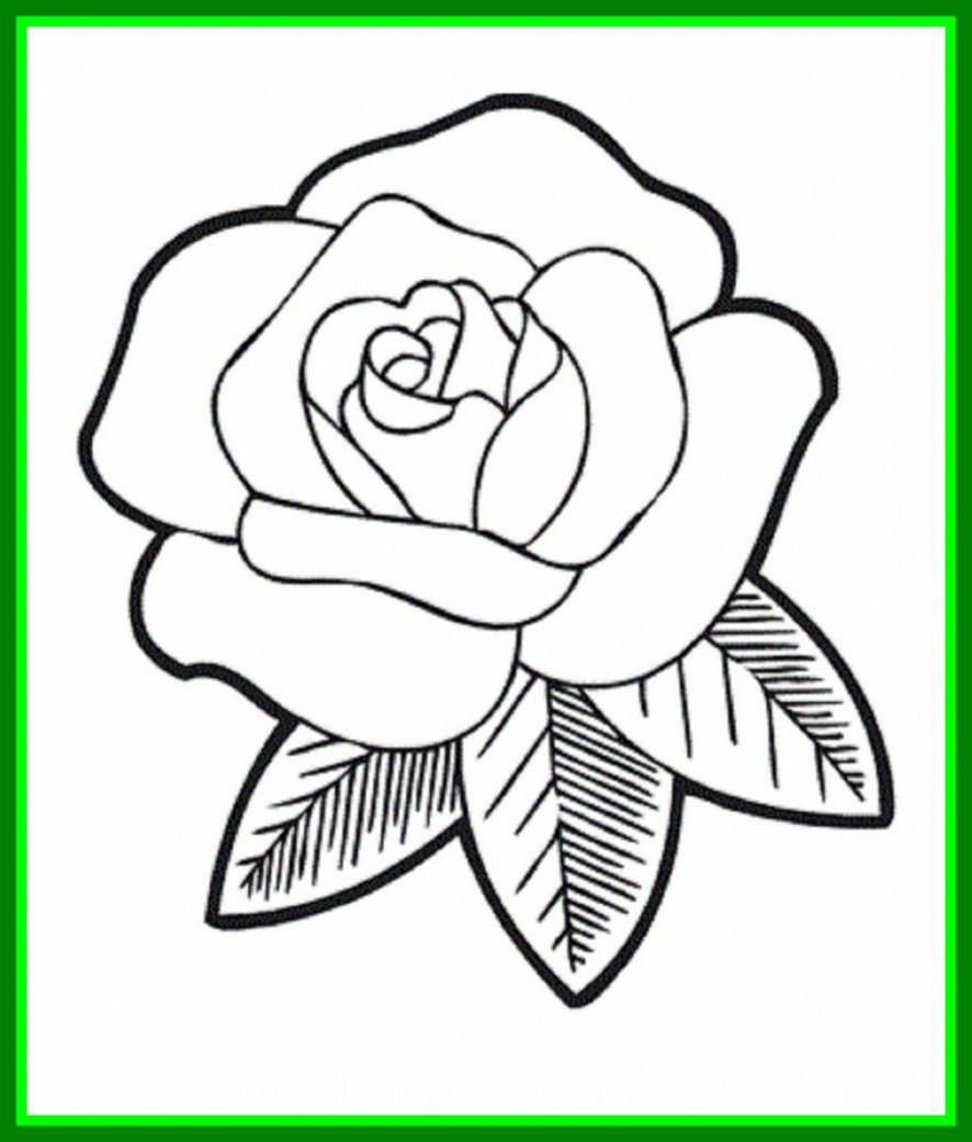 886x1041 How To Draw A Easy Rose Easy Rose Drawing Steps Drawing Art - Easy Rose Drawing Step By Step
