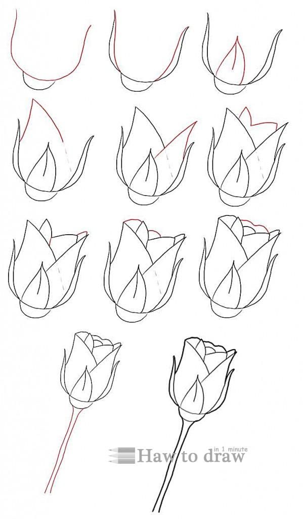 603x1024 How To Draw A Rose With Pencil Drawing Elements Drawings - Easy Rose Drawing Step By Step