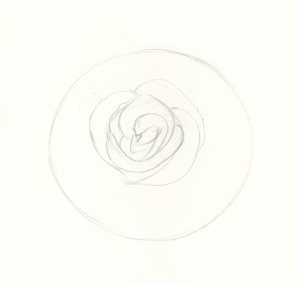 1024x973 How To Draw Roses An Easy And Complete Step - Easy Rose Drawing Step By Step