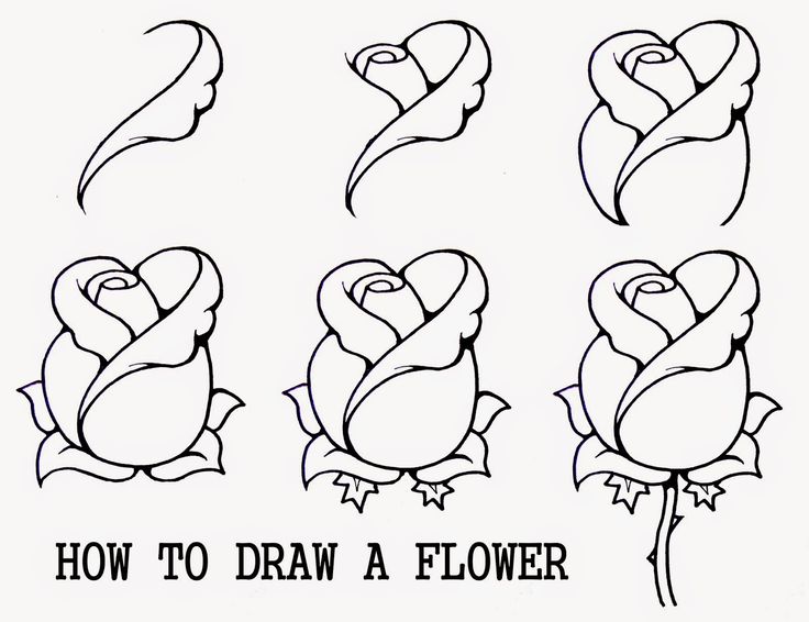 736x566 Easy Rose Drawings In Black And White - Easy Rose Drawing Tutorial