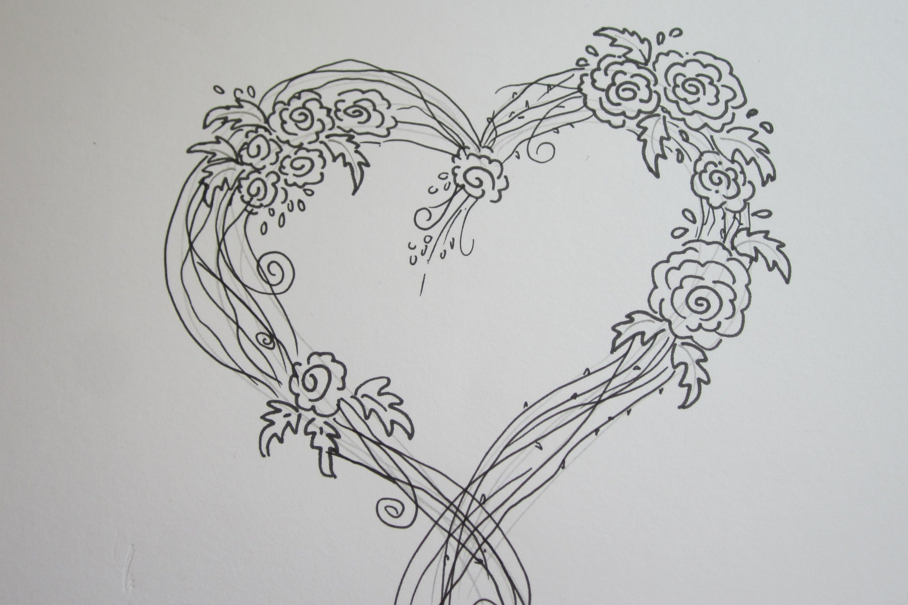 3000x1998 Flowers Tutorial Drawing - Easy Rose Drawing Tutorial