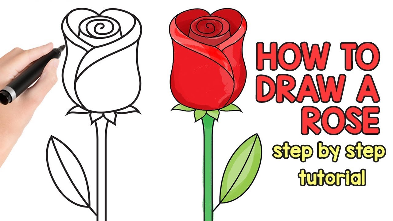 1280x720 How To Draw A Rose - Easy Rose Drawing Tutorial