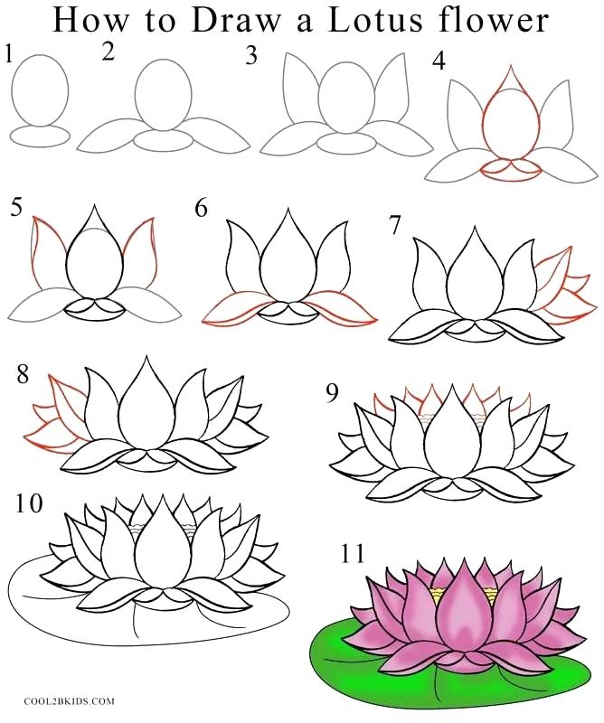 668x800 Step - Easy Rose Drawing Tutorial