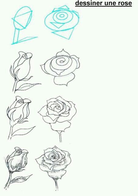 453x640 Rose Bud Line Drawing - Easy Rose Drawing Tutorial