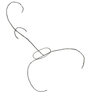 300x309 How To Draw A Scorpion - Easy Scorpion Drawing