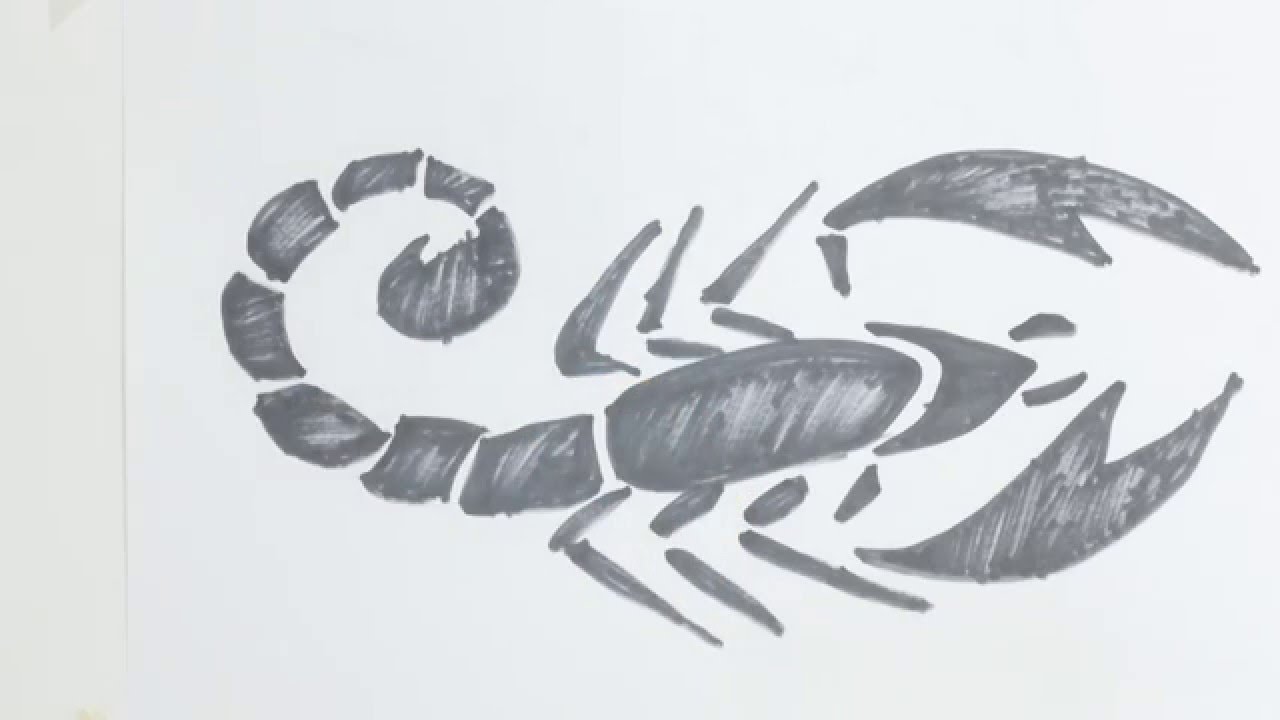1280x720 How To Draw Scorpion Tribal Tattoo - Easy Scorpion Drawing