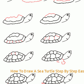 How To Draw A Sea Turtle Easy Step By Step