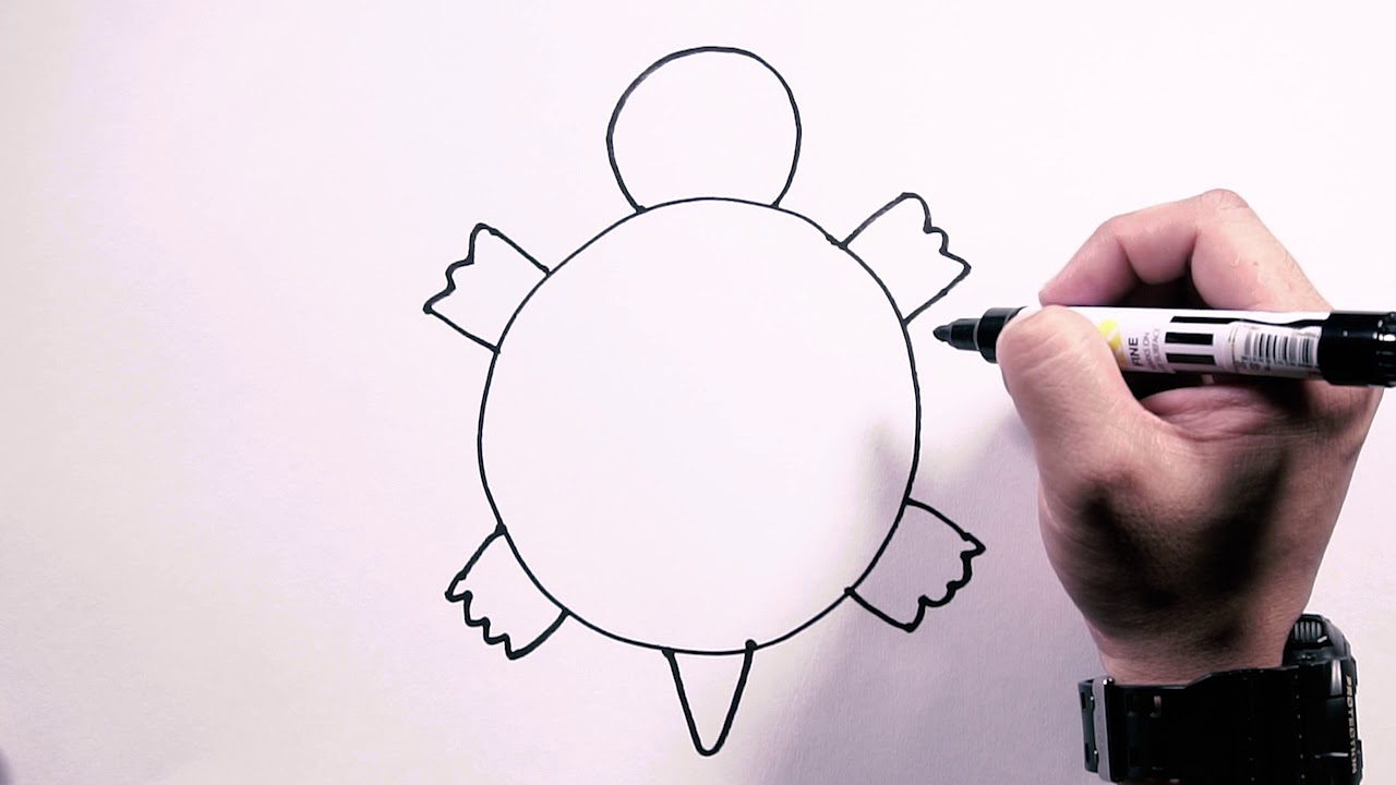 1280x720 How To Draw Sea Turtle - Easy Sea Turtle Drawing