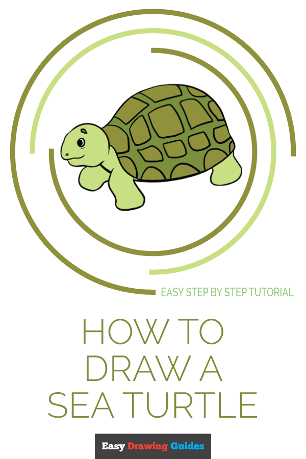 600x900 How To Draw A Sea Turtle - Easy Sea Turtle Drawing