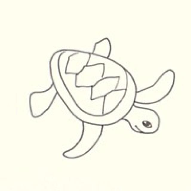 640x640 draw a sea turtle in easy steps art ed sub sea turtle - Easy Sea Turtle Drawing