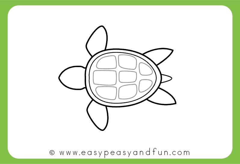 798x545 Easy Turtle Drawing How To Draw A Turtle Step Step Drawing - Easy Sea Turtle Drawing