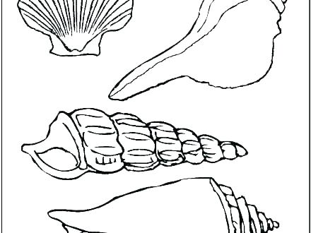 440x330 Coloring Pages For Adults Quotes Disney Pdf Easy Seashell - Easy Seashell Drawing