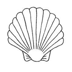 Easy Seashell Drawing at PaintingValley.com | Explore collection of