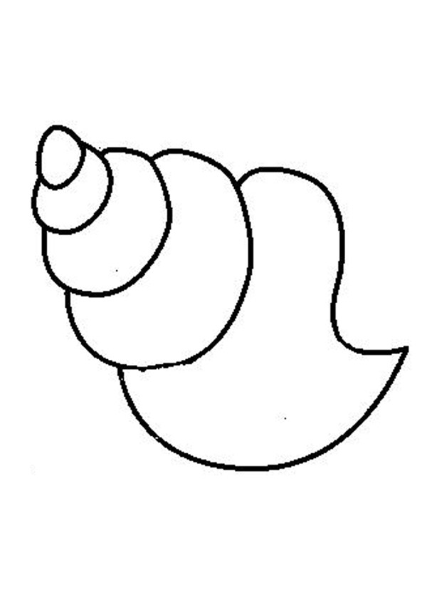 600x849 Seashell Drawing Draw For Free Download - Easy Seashell Drawing
