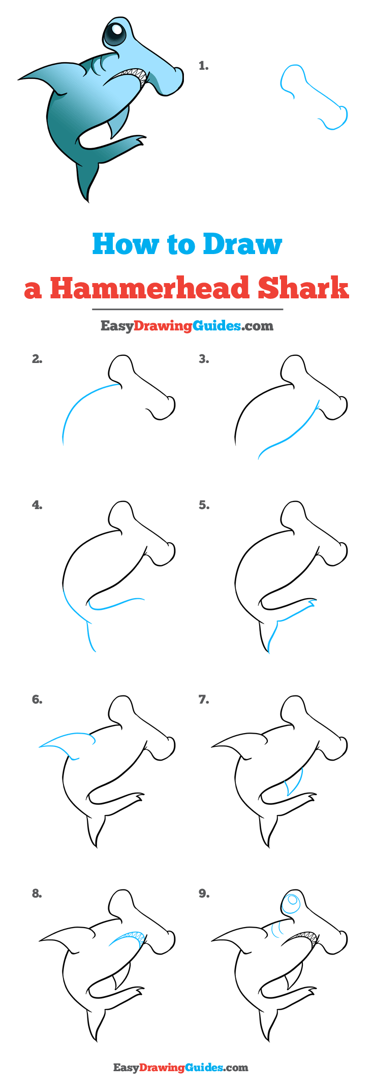 736x2139 How To Draw A Hammerhead Shark - Easy Shark Drawing