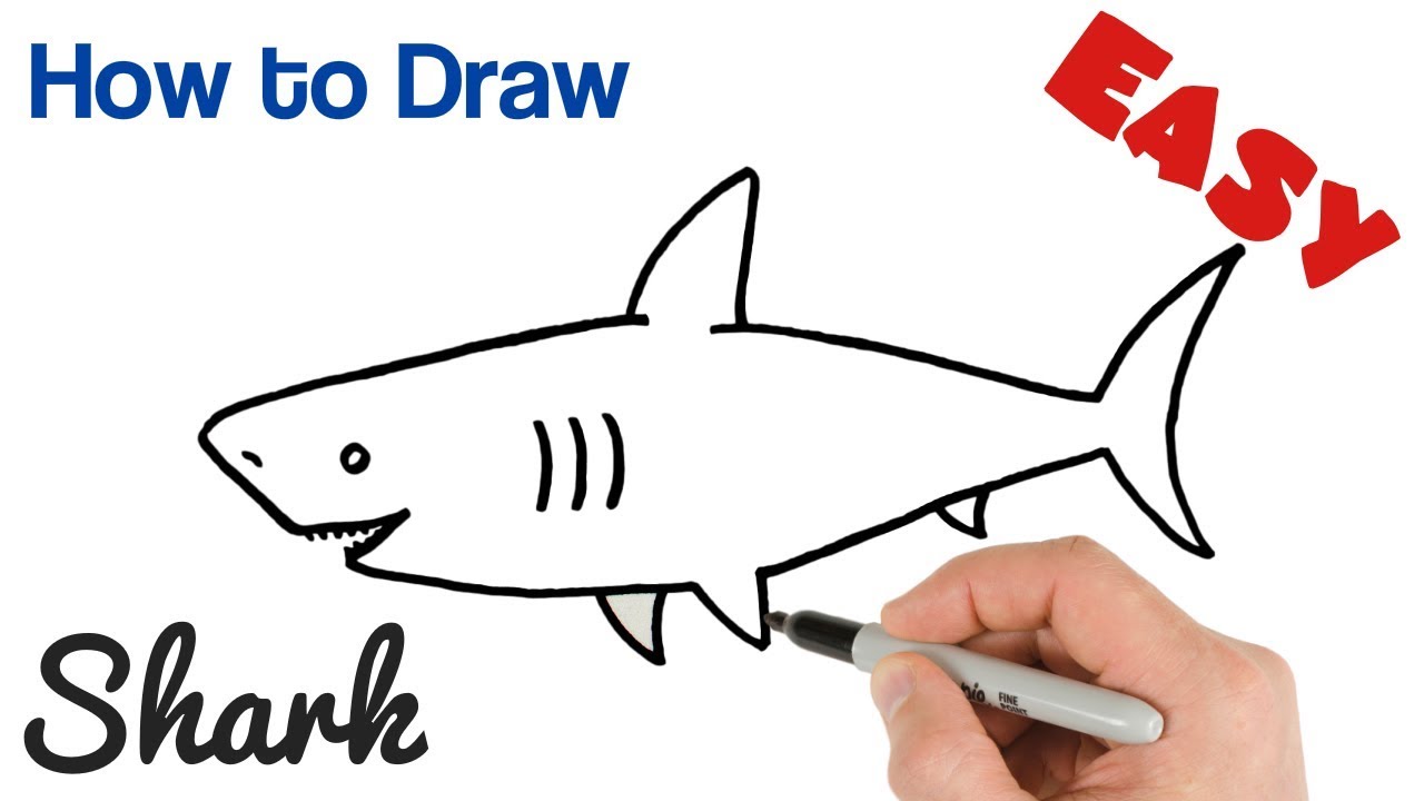 1280x720 How To Draw A Shark Easy Step - Easy Shark Drawing