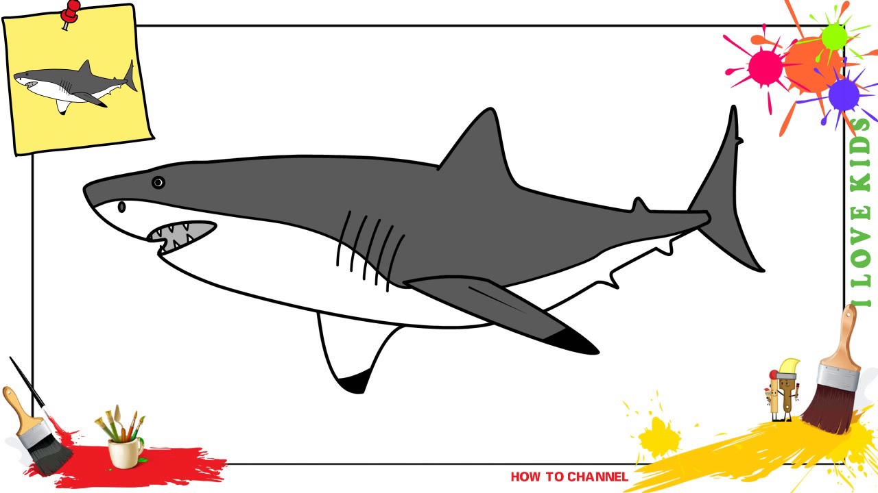 1280x720 How To Draw A Great White Shark Easy Step - Easy Shark Drawing