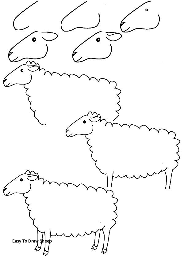 600x836 Easy To Draw Sheep Best Art Doodle And Draw Images - Easy Sheep Drawing