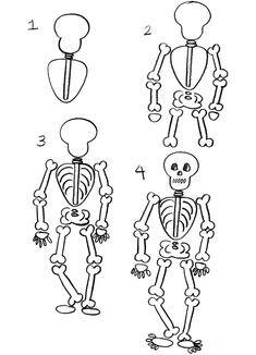 235x326 How To Draw Cartoon Skeletons With Step - Easy Skeleton Drawing