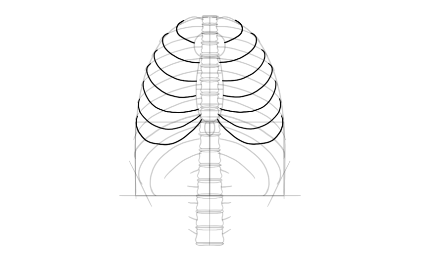 850x536 How To Draw A Skeleton Step - Easy Skeleton Drawing