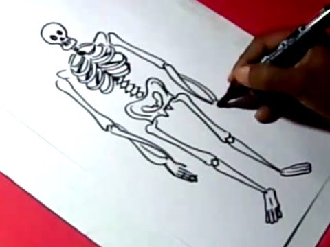 480x360 How To Draw Skeleton Drawing For Kids Step - Easy Skeleton Drawing For Kids