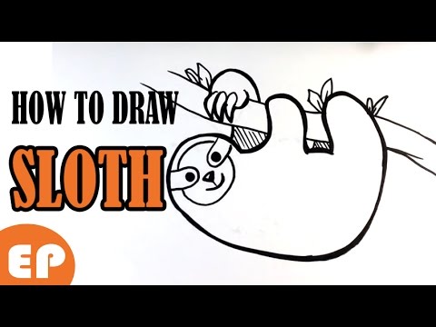 480x360 How To Draw A Sloth - Easy Sloth Drawing