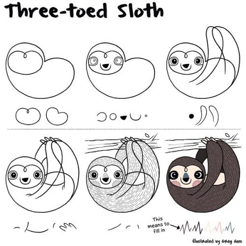 500x500 Gregham How To Draw A Sloth - Easy Sloth Drawing