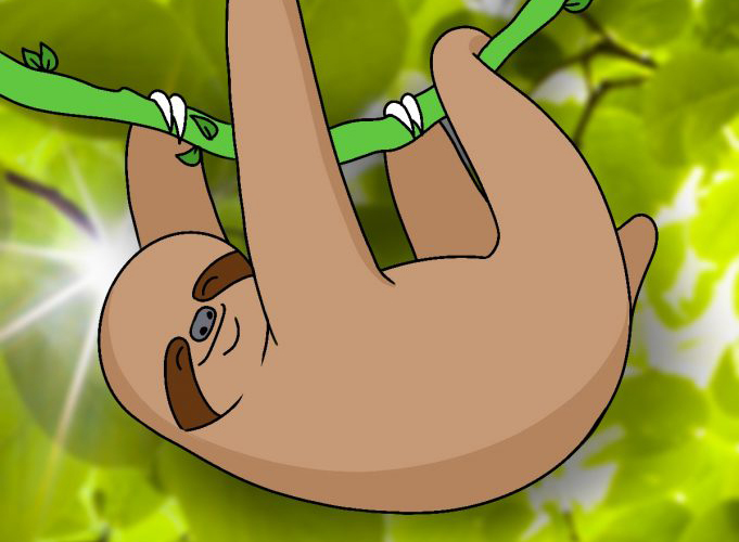 681x500 How To Draw A Cute Sloth In Easy Steps - Easy Sloth Drawing